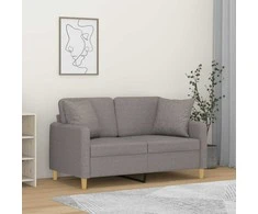 Dvivietė sofa su pagalvėlėmis, šviesiai pilka, 120cm, audinys