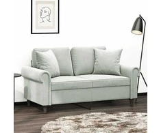 Dvivietė sofa su pagalvėlėmis, šviesiai pilka, 120cm, aksomas