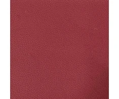 Dvivietė sofa su pagalvėlėmis, vyno, 120cm, dirbtinė oda