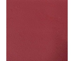 Dvivietė sofa su pagalvėlėmis, vyno, 140cm, dirbtinė oda