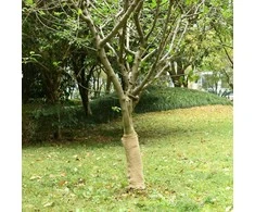 Džiuto ritinys, 0,5x5m, 100% džiutas, 200 g/m²