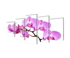 Nuotraukų rėmelis Fotopaveikslas "Orchidėjos" ant Drobės 200 x 100 cm