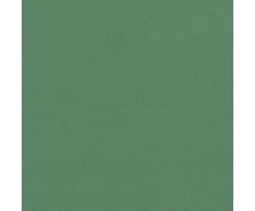 Išskleidžiama proginė palapinė, žalios spalvos, 440x292x315cm