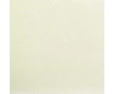 Ištraukiama markizė, kreminė, 300x150cm, audinys ir plienas