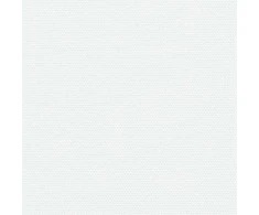 Ištraukiama šoninė markizė, baltos spalvos, 180x600cm