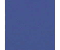 Ištraukiama šoninė markizė, mėlynos spalvos, 120x500cm