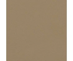 Ištraukiama šoninė markizė, taupe spalvos, 160x300cm