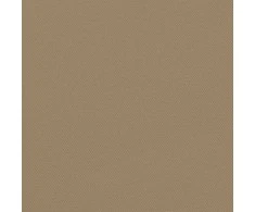 Ištraukiama šoninė markizė, taupe spalvos, 120x500cm