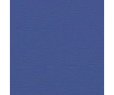 Ištraukiama šoninė pertvara, mėlynos spalvos, 120x600cm