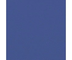 Ištraukiama šoninė pertvara, mėlynos spalvos, 140x600cm