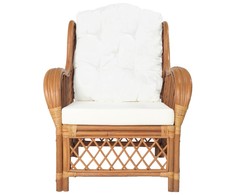 Sofa Krėslas su pagalvėle, šviesiai rudas, natūralus ratanas/linas
