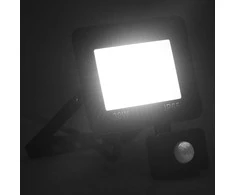 LED prožektorius su jutikliu, šaltos baltos spalvos, 30W