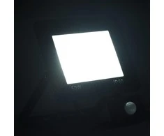 LED prožektorius su jutikliu, šaltos baltos spalvos, 50W