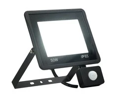LED prožektorius su jutikliu, šaltos baltos spalvos, 50W