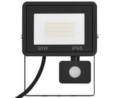 LED prožektorius su jutikliu, šaltos baltos spalvos, 30W