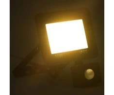 LED prožektorius su jutikliu, šiltos baltos spalvos, 30W