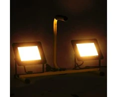 LED prožektorius su rankena, šiltos baltos spalvos, 2x50W