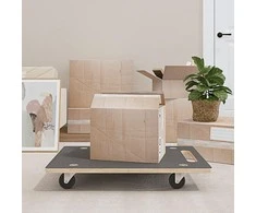 Transportavimo vežimėliai, 2vnt., 80x55x11,5cm, stačiakampiai