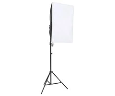 Profesionalūs fotostudijos šviestuvai, 2vnt., 40x60cm