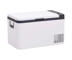 Šaltdėžė su rankena, juodos ir baltos spalvos, 25l, PP ir PE