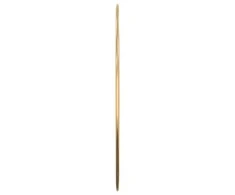 Sieninis veidrodis, auksinis, 40cm skersmens, apskritas