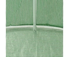 Šiltnamis, 6x4x2m, 24m²