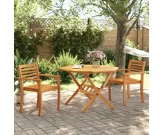 Sodo kėdės, 2vnt., 59x55x85cm, akacijos medienos masyvas