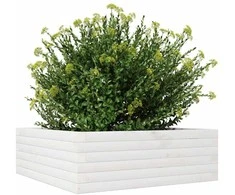 Sodo lovelis, baltas, 70x70x23cm, pušies medienos masyvas
