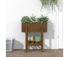 Sodo lovelis, medaus rudas, 62x30x69cm, pušies medienos masyvas