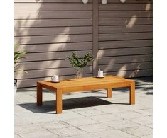Sodo stalas, 100x50x27cm, akacijos medienos masyvas