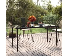Sodo valgomojo stalas, juodas, 160x80x74cm, plienas ir stiklas