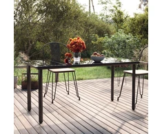 Sodo valgomojo stalas, juodas, 160x80x74cm, plienas ir stiklas