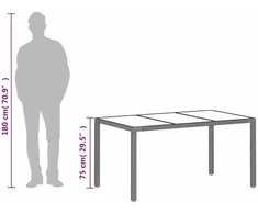 Stalas su stikliniu stalviršiu, pilkas, 150x90x75cm, ratanas