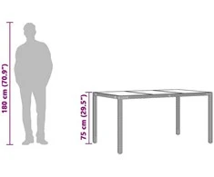 Stalas su stikliniu stalviršiu, pilkas, 150x90x75cm, ratanas