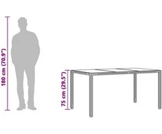 Stalas su stikliniu stalviršiu, rudas, 150x90x75cm, ratanas