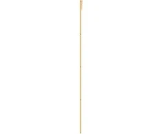 Stumdomos durys, auksinės, 76x205cm, ESG stiklas ir aliuminis