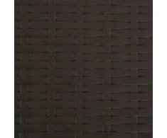 Sulankstomos kėdės, 2 vnt., HDPE ir plienas, rudos spalvos