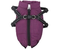 Šunų kailis su diržais, atsparus vandeniui, violetinis, L