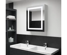 Veidrodinė vonios spintelė su LED apšvietimu, 50x13x70cm