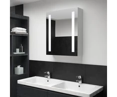 Veidrodinė vonios spintelė su LED apšvietimu, 50x13x70cm