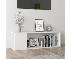 Televizoriaus spintelė, balta, 100x24x32cm, apdirbta mediena