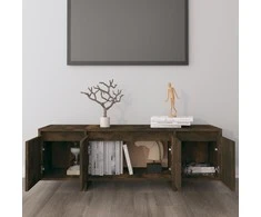 TV staliukas Televizoriaus spintelė, dūminio ąžuolo, 120x30x40,5cm, mediena