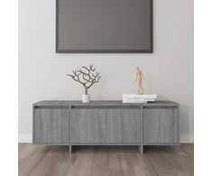 TV staliukas Televizoriaus spintelė, pilka ąžuolo, 120x30x40,5cm, MDP