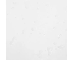 Tentas, baltos spalvos, 2,5x4,5m, 650g/m²