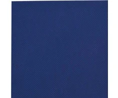 Tentas, mėlynos spalvos, 3x4m, 650g/m²