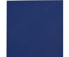 Tentas, mėlynos spalvos, 3x6m, 650g/m²