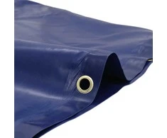 Tentas, mėlynos spalvos, 5x5m, 650g/m²