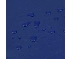 Tentas, mėlynos spalvos, 5x6m, 600g/m²