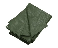 Tentas, žalios spalvos, 2x3m, 180g/m², HDPE