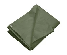 Tentas, žalios spalvos, 3x6m, 260g/m², HDPE